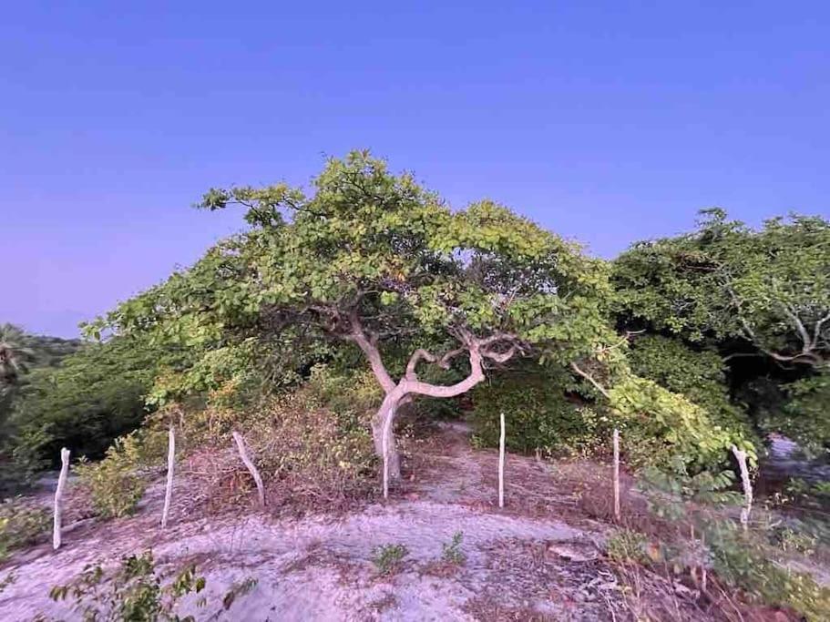 Vila Casa Do Sossego Jijoca de Jericoacoara Exteriér fotografie